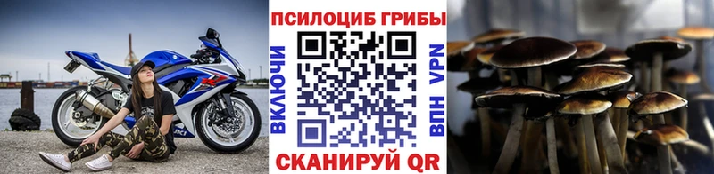 Галлюциногенные грибы Cubensis  Купить  Чишмы 